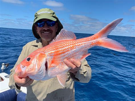 GT FISHING CHARTERS (2026) All You Need to Know BEFORE You Go (with ...