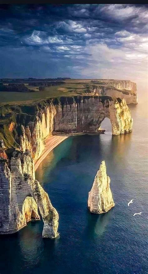 @tiliapallida on Tumblr