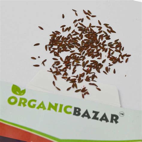 Buy Best Quality Lettuce Biscia Salad Bowl Red Seeds