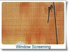 Window Screening 的图像结果