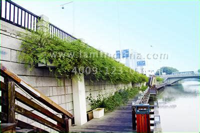 高架桥绿化针对植物的选择