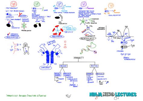 Image result for ATF Operating Structure