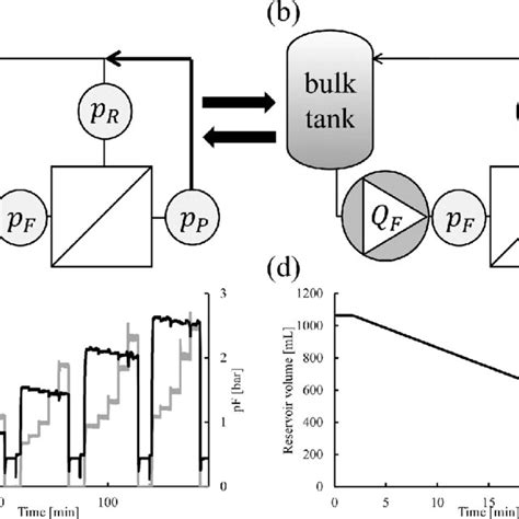 TFF Process Development 的图像结果