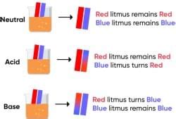 NCERT Based Activity - Class 10 PDF Download
