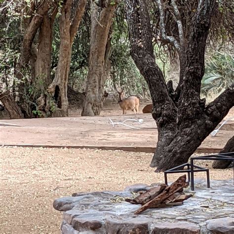 KWALATA RANCH (Central Tuli Block) - Campground Reviews & Photos ...
