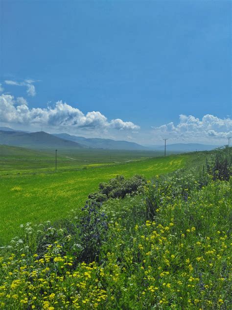 Grass Field Photography 的图像结果