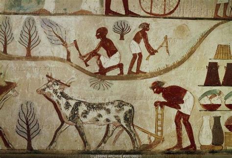 Agriculture in Egypt 的图像结果