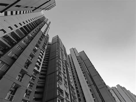 Oppo Find X8 Ultra camera review: The 1-inch wonder - India Today