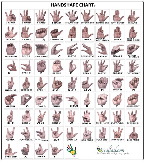 Basic Hand Signs at Eunice Snell blog
