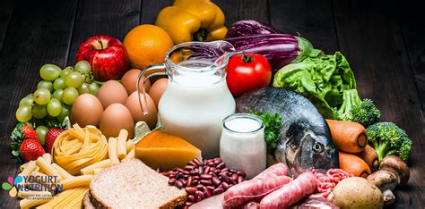 Animal Source Foods 的图像结果