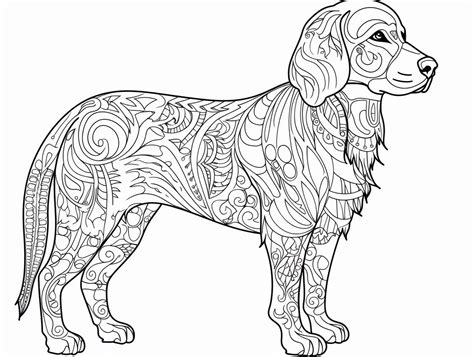 Adult Coloring With Golden Retrievers - Coloring Page