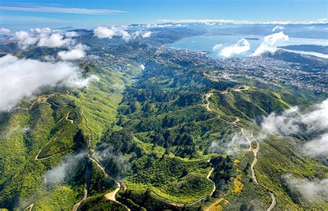 Q&A with Zealandia - New Zealand In Depth