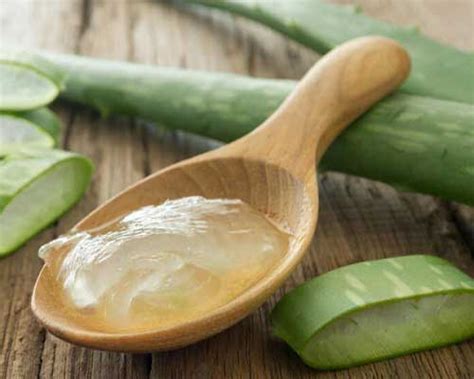 Aloe Vera Products Know Uses, Benefits - AOS Blog