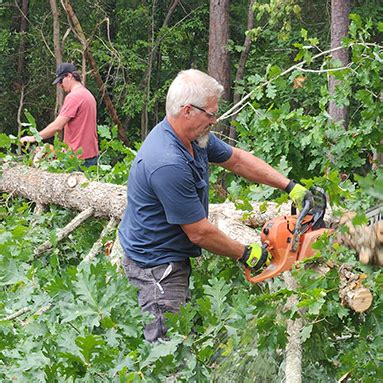 Image result for Commando Tree