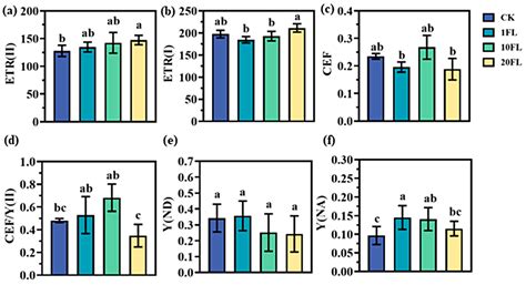 Cyclic Electron Flow Alleviates the Stress of Light Fluctuation on ...