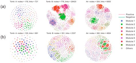 Uncovering Microbial Diversity and Community Structure of Black Spots ...
