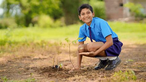 How Gardening Can Help Kids Develop Teamwork Skills