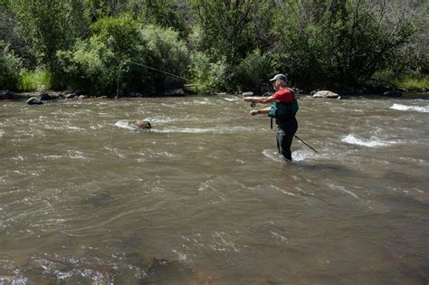Do I Need a License to Fish in Colorado? | Charles Reed Cagle