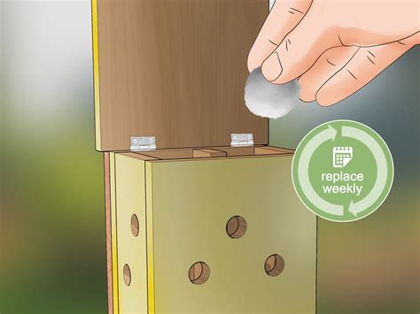 How to Build a Ladybug House: Easiest Method