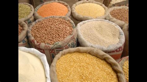 Massive food-purchase plans on anvil: Officials | Latest News India