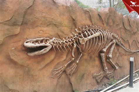 恐龙化石图片-在博物馆展示的恐龙化石素材-高清图片-摄影照片-寻图免费打包下载