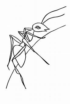 ausmalbilder insekten kostenlos malvorlagen zum drucken ausmalbild insekten kostenlos 2 ausmalbilder insekten kostenlos malvorlagen zum drucken ausmalbild insekten kostenlos 2