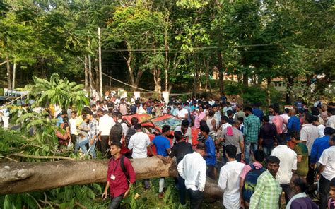 Two youngsters killed as tree falls on running car in Ujire