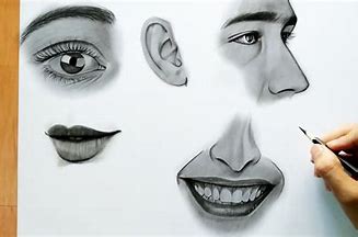 how to draw a realistic human nose