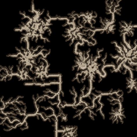 Image result for How to Make Root Map