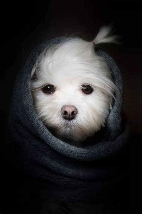 Lisa Tebbe's Instagram, Twitter & Facebook on IDCrawl