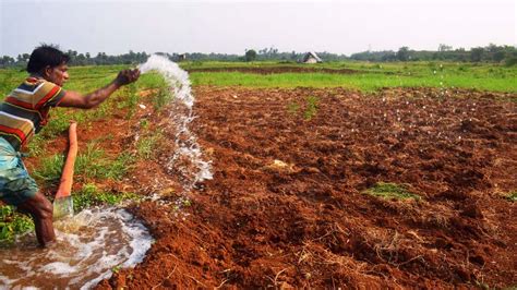 Weather forecast and conditions for Jacob Circle, Maharashtra - The ...