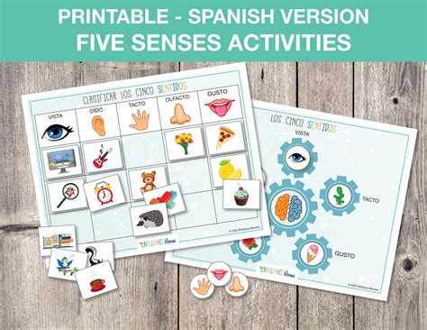 Spanish Printable Five Senses, Five Senses Sorting, Toddler Busy Book ...