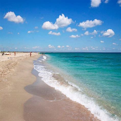 WILD FAMILY (Chornomorske) - Lodge Reviews & Photos - Tripadvisor