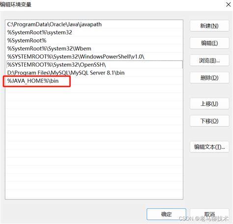 Java 1.1 Version Download 的图像结果