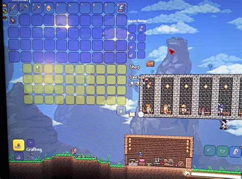 302 best Traveling Merchant images on Pholder | Terraria, Stardew ...