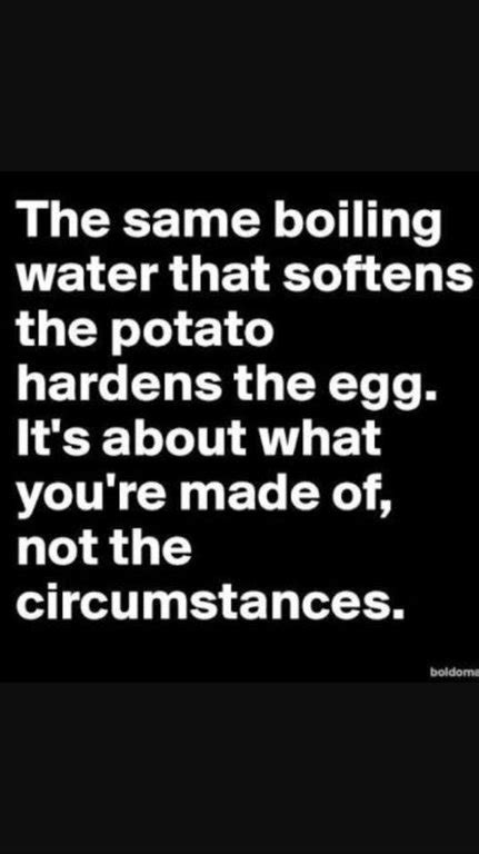 Boiling Water Softens The Potato, And Hardens The Egg - The Success Manual