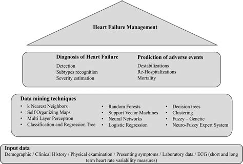 Heart Failure: Diagnosis, Severity Estimation and Prediction of Adverse Events Through Machine ...
