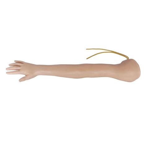 Image result for IV Training Arm Model