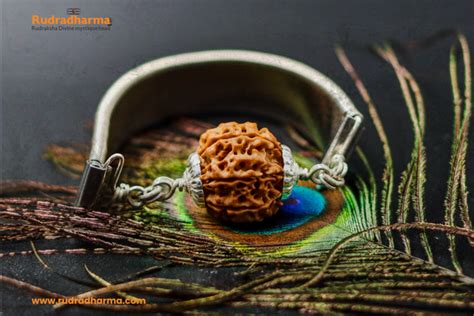 Rudraksha : Divine Mystique Bead | A Path to Spiritual Healing ...