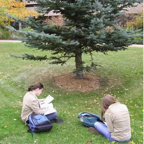 Image result for Project Learning Tree Curriculum