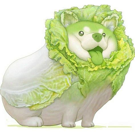 菜狗（2020年日本画师ばん吉创作的蔬菜精灵系列形象）_百度百科