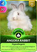 Image result for Angora Rabbit Shearing