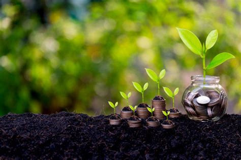 Tamil Nadu Grama Bank