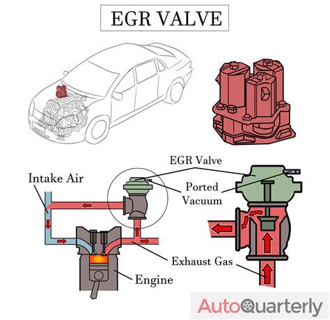 What Is A Egr Valve Do at Leo Mclucas blog