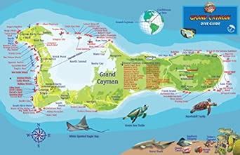 Grand Cayman Island Dive Map & Reef Creatures Guide Franko Maps ...