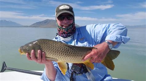 Mona Photos - Featured Images of Mona, UT - Tripadvisor