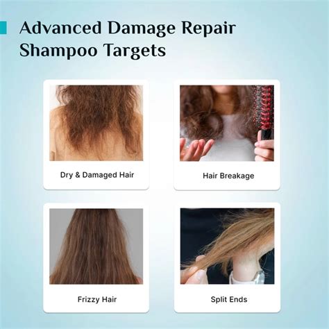Pilgrim Advanced Damage Repair Shampoo 400ml with Korean Rice Water ...