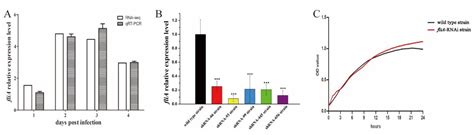 Dual RNA-Seq Unveils the Role of the Pseudomonas plecoglossicida fliA ...