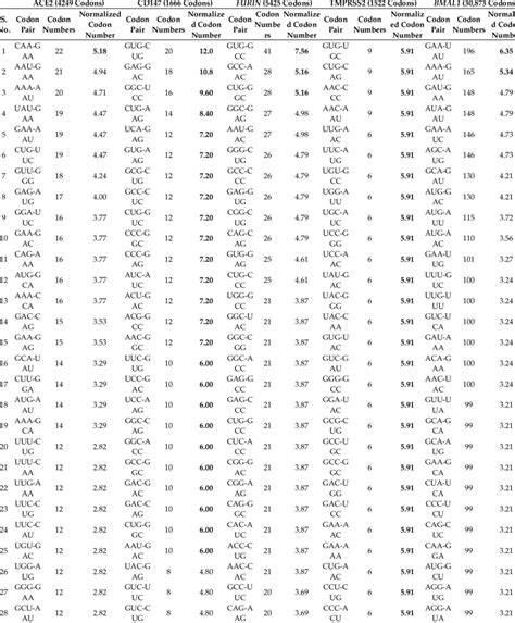 Codon Table 的图像结果