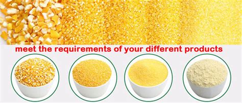 Image result for Maize Processing